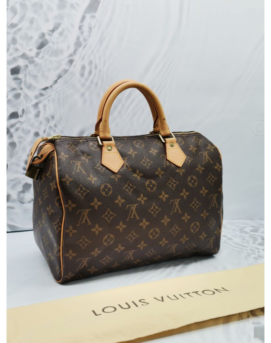 Louis vuitton speedy 30 for sale online